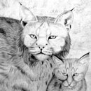 Lynx Mother and Kitten
